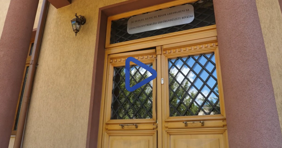 A Gyergyószentmiklósi Erdőrendészeti Hivatal nemcsak vigyázza az erdőt, de kutatja is